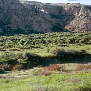 San Nicolas Island, 65-335 & SN-252