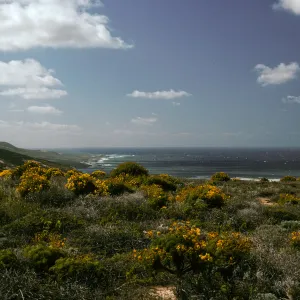 North Shore, From water project tanks, Northwest of Airfield, San Nicolas Island