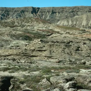 South escarpment, Above Daytona Beach, San Nicolas Island