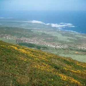 Otter Harbor from Green Mountain, San Miguel Island