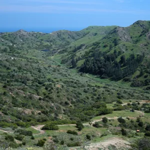 Cape Canyon, Santa Catalina Island