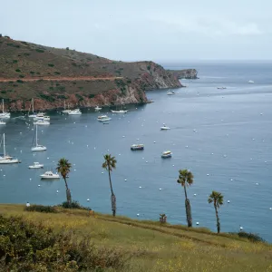 Isthmus Harbor, Santa Catalina Island