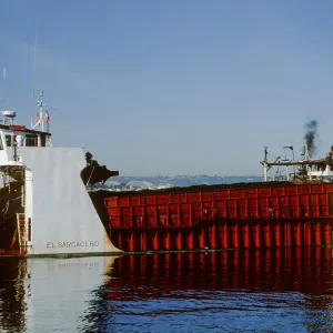 kelp cutter “El Sargacero“