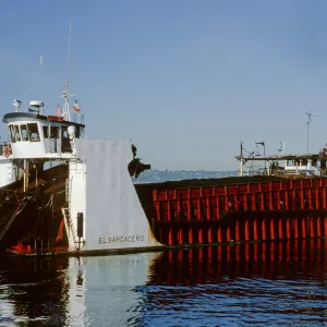 kelp cutter “El Sargacero“