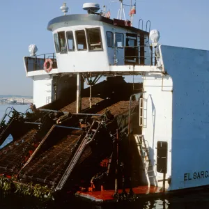 kelp cutter “El Sargacero”