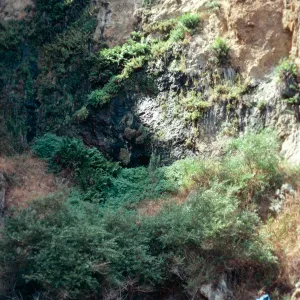 seep. 2nd cove, East of Frys Harbor, Santa Cruz Island