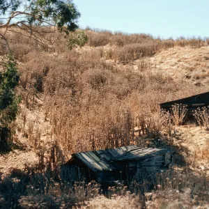fishing shacks, West end of China Harbor, Santa Cruz Island