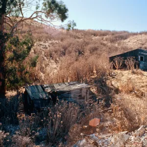 fishing shacks, West end of China Harbor, Santa Cruz Island