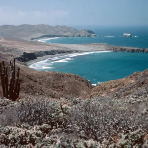 looking South, Southwest portion of island, Natividad Island
