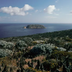 view of Prince Island, San Miguel Island