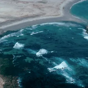 Pinnipeds, Point Bennett, San Miguel Island