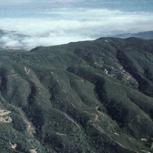 South side of ridge, West Cuesta ridge, San Luis Obispo County