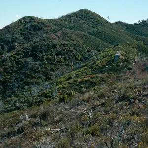 ridgetop, looking West, between Villa & Salmon Creeks, Lions Den, Monterey County