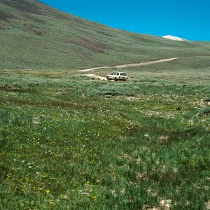 Campito Meadow, White Mountains, Inyo county