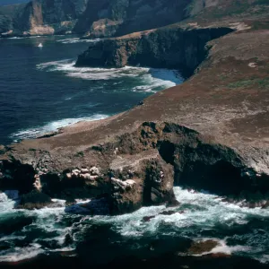 Webster Point, Santa Barbara Island