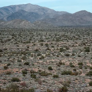 trail to Ghost Mountain, Blair Valley, Anza-Borrego State Park, San Diego County