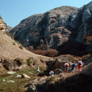 Lobo Canyon, Santa Rosa Island