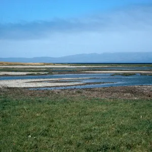 marsh, Old Ranch House Canyon, Santa Rosa Island