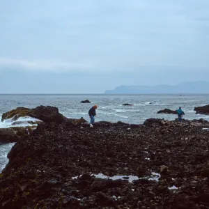 tidepools, just West of Carrington Point peninsula, Santa Rosa Island