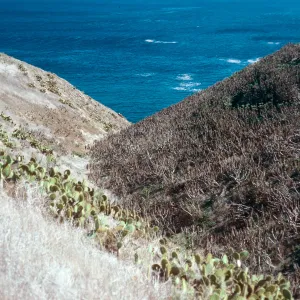 Cave Canyon, Santa Barbara Island