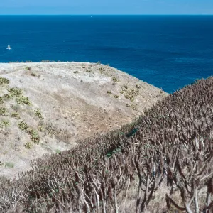 Cave Canyon, Santa Barbara Island