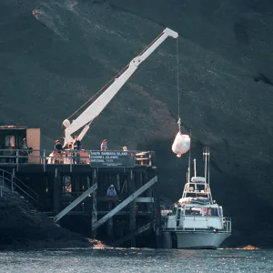 landing, Santa Barbara Island