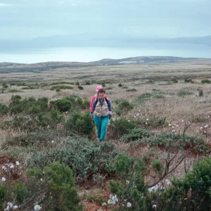 trail to San Miguel Peak, San Miguel Island