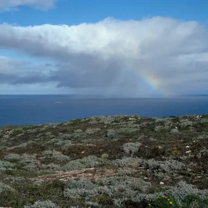 rainbow, near Cuyler Harbor, San Miguel Island