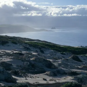 dunes, above Simonton Cove, San Miguel Island