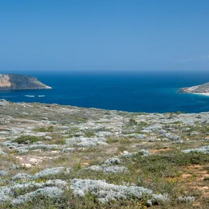 Prince Island view, Cuyler Harbor, San Miguel Island