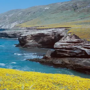 Santa Rosa Island