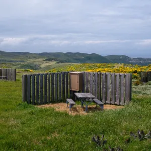 campground, San MIguel Island
