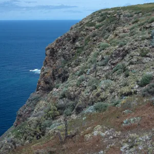 Signal Peak slopes, Santa Barbara Island