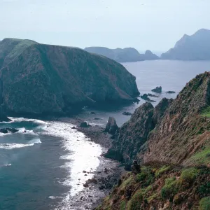 landbridge between East & Middle Anacapa Islands, at low tide (~0.6 ft.), Middle Anacapa Island