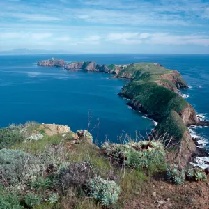 Middle & East Anacapa Islands from East end of terrace, West Anacapa Island