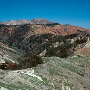 North end, Sierra Blanca ridge, looking North, Santa Cruz Island