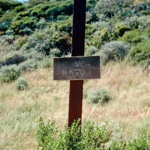 sign at Campo Raton, Santa Cruz Island