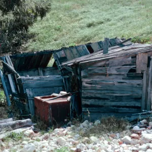 fishing shack, China Harbor, Santa Cruz Island
