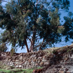 resort ruins, Pelican Bay, Santa Cruz Island