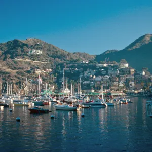 Avalon, Catalina Island