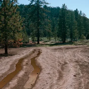 OHV damage, West end of meadow #2, Yellowjacket Campground