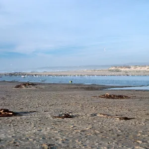 mouth of Santa Ynez River, Santa Barbara County