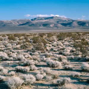 El Paso Mountains, just South of Robbers Roost, Northern Mojave Desert, Kern County