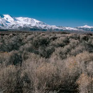 Eastern Sierra Nevada, looking North, 10 miles North of Independence, Inyo County 