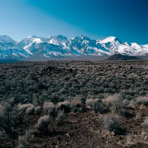 Sierra Nevada, 10 miles North of Independence, Inyo County