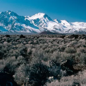 Sierra Nevada, 10 miles North of Independence, Inyo County