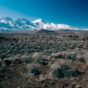 Sierra Nevada, 10 miles North of Independence, Inyo County