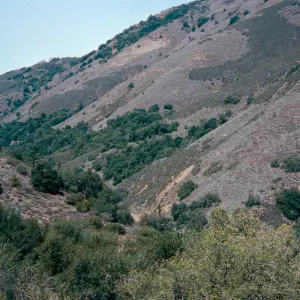 Anza-Borrego State Park