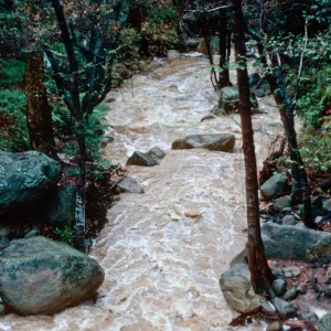 Mission Creek, Santa Barbara County