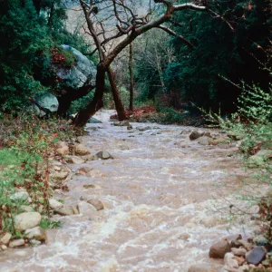 Mission Creek, Santa Barbara County